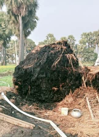 Fire broke out in 3 bunches of paddy thousands of crops turned to ashes 1