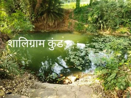 विलुप्ति के कगार पर पहुंची राजगीर का शालिग्राम, भरत और दुःखहरनी कुंड 2 Rajgir Shaligram Bharat and Dukhharni Kund reached the verge of extinction 1