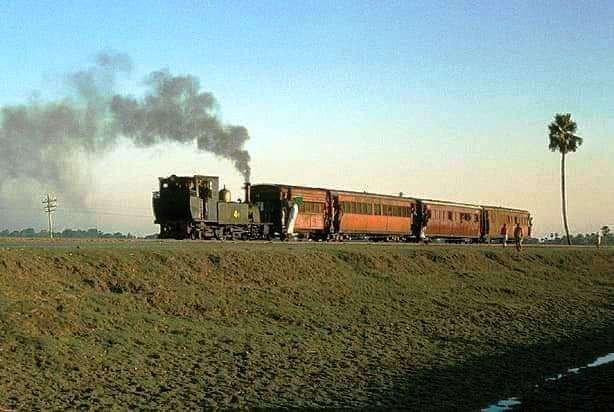 Past Martins train on the Fatuha Islampur short line used to pass through the chest of fields 1