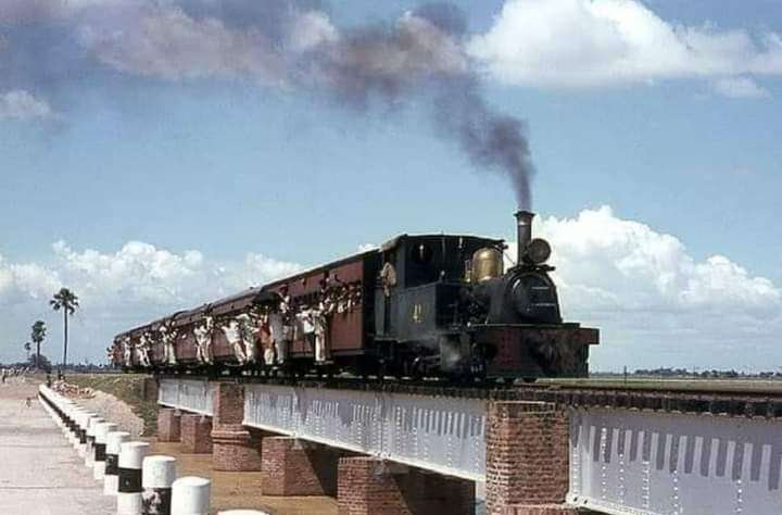 Past Martins train on the Fatuha Islampur short line used to pass through the chest of fields 4