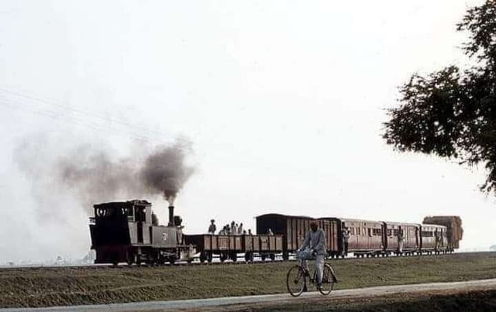 Past Martins train on the Fatuha Islampur short line used to pass through the chest of fields 5