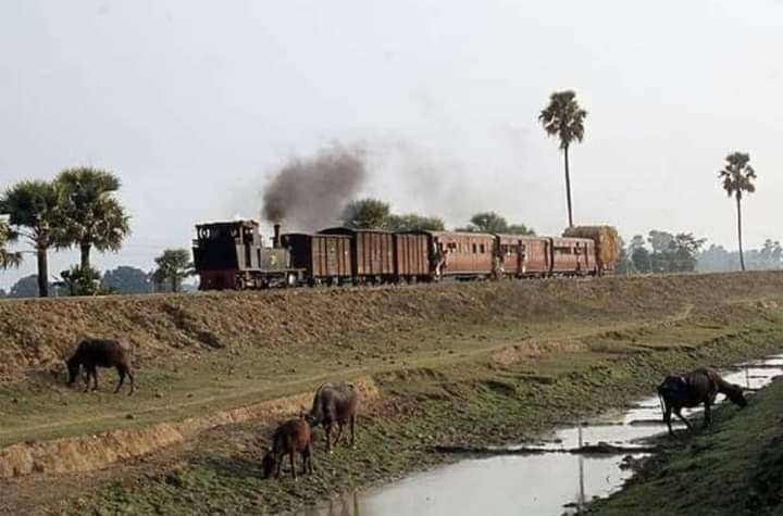 Past Martins train on the Fatuha Islampur short line used to pass through the chest of fields 6