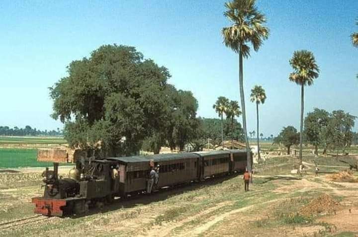 Past Martins train on the Fatuha Islampur short line used to pass through the chest of fields 7