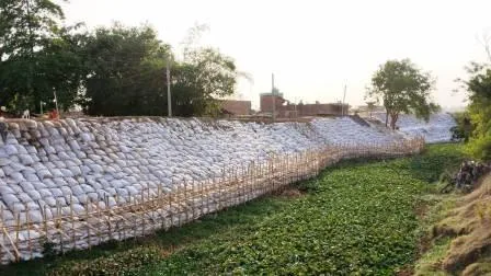 भीषण गर्मी के बीच बाढ़ की विभीषिका को याद कर सहम रहे है रहुई वासी! 2 In the midst of the scorching heat the residents of Ruhui are scared remembering the horrors of the flood. 2