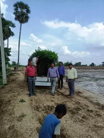 तालाब किनारे पौधरोपण की पुण्य परंपरा मनरेगा में शामिल 2 The holy tradition of planting trees on the banks of the pond is included in MNREGA 1