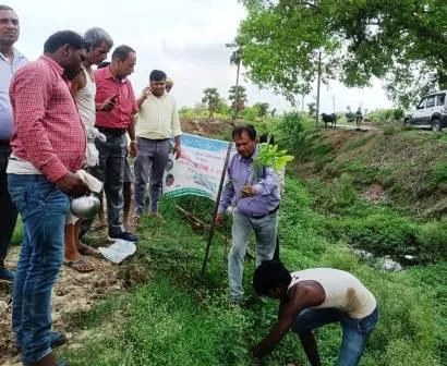 तालाब किनारे पौधरोपण की पुण्य परंपरा मनरेगा में शामिल 1 The holy tradition of planting trees on the banks of the pond is included in MNREGA