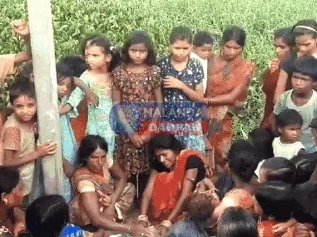 वन सूअरों का हमला 1