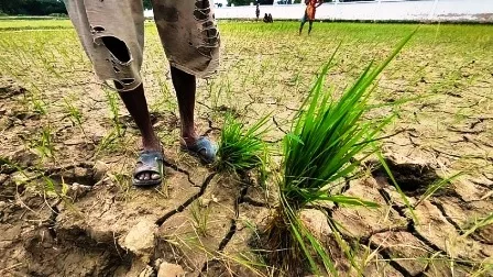 56 साल बाद सावन-भादो की बेरुखी से खेतों में पड़ी दरारें, किसान हलकान 1 After 56 years there are cracks in the fields due to indifference of Sawan Bhado farmers are worried