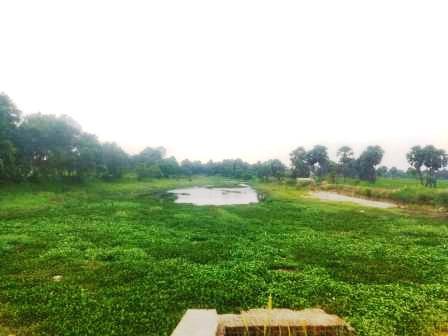 Even in Bhado Munshi Pan of Sakri River is thirsty farmers are gazing towards the sky. 1111