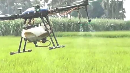 धान की फसल पर ड्रोन से हुआ तरल उर्वरक का छिड़काव, किसानों में बढ़ी उत्सुकता 1 Spraying of liquid fertilizer on paddy crop by drone increased curiosity among farmers