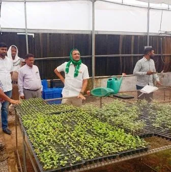 अब चंडी से 14 जिलों किसानों को सिर्फ विदेशी सब्जी के पौधों की होगी आपूर्ति 3 चंडी में स्थापित बिहार का एकलौता सेंटर ऑफ एक्सीलेंस फॉर वेजिटेबल
