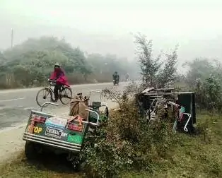 Truck crushes e rickshaw sick father dies on the spot both brothers serious 1