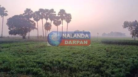 जंगली जानवरों ने हमला कर 40 बकरियों को मौत के घाट उतारा, ग्रामीणों में दहशत 1 जंगली जानवरों ने हमला कर 40 बकरियों को मौत के घाट उतारा 1