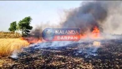 200 acres of wheat crop burnt to ashes due to lightning spark