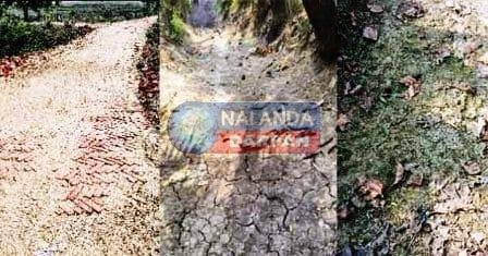 बेन प्रखंड में विकास योजनाओं की लूट में एक्सारा पंचायत अव्वल 2 Axara Panchayat tops in looting of development schemes in Ben block