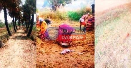 भुतहाखार पंचायत में विकास योजनाओं की सर्वांगिन लूट जारी