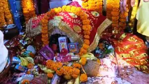 Crowd of devotees gathered in Maghada Shitala Mata temple stoves not lit in dozens of villages 1