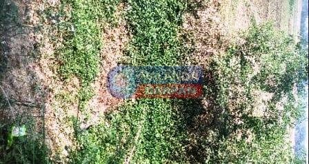 नगरनौसा के इस पंचायत में कागज पर कर डाली करोड़ों का पइन उड़ाही 7 In this Panchayat of Nagarnausa tax worth crores was wasted on paper