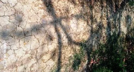 विकास योजनाओं के क्रियान्वयन में सबसे कुख्यात पंचायत 10 The most notorious panchayat in the implementation of development schemes