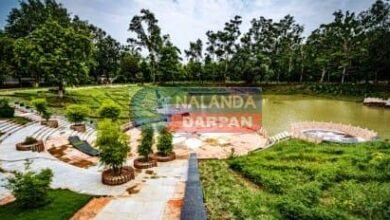 Lord Buddha smiled from a clump of bamboo in Rajgir Venuvan Vihar
