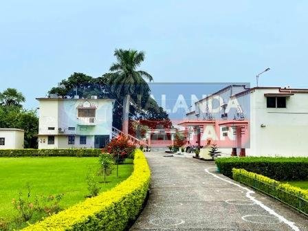 नालंदा पुरातत्व संग्रहालय: जहां देखें जाते हैं दुनिया के सबसे अधिक पुरावशेष Nalanda Archaeological Museum (6)