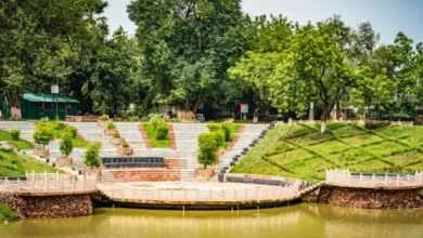 There is a need for light and sound system in Venuvan the abode of Lord Buddha