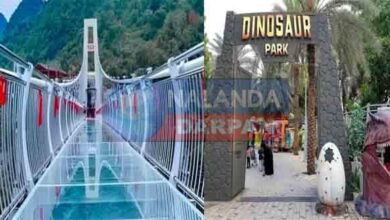 Another glass bridge and dinosaur park will be built in Rajgir, Venuvan will be equipped with sound light system