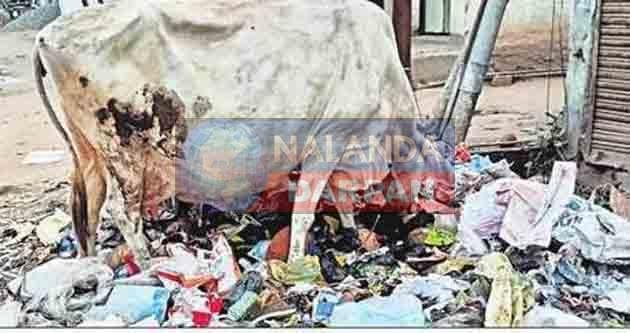 Cleanliness campaign: पइन, नदी और सड़क किनारे फेंका जा रहा गांव से शहर तक का कचड़ा 9 Cleanliness campaign Waste from villages to cities is being dumped on the banks of rivers and roads