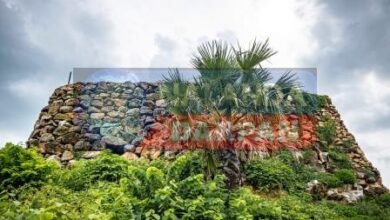 Rajgir Pipli gufa (3)