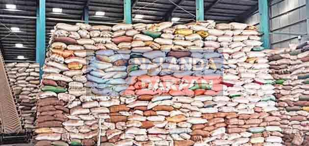 पैक्सों को लेकर सामने आए चौंकाने वाले आकड़ें, एक फीसदी भी नहीं हुई गेहूं खरीद 1 Shocking figures came out regarding PACS, not even one percent wheat was purchased