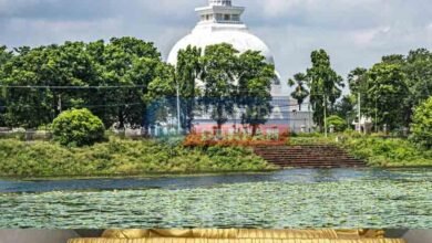 This Vishwa Shanti Stupa of Vaishali gives the message of friendship to the world (11)