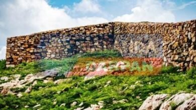 Neglect of Archaeological Survey of India Danger on the worlds oldest Rajgir Cyclopean Wall