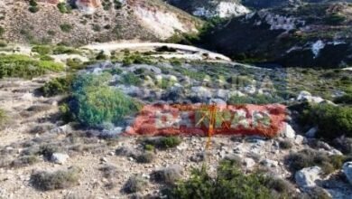 Bihar Special Land Survey