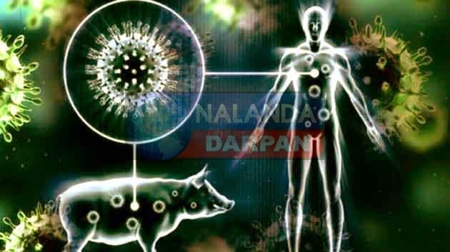 जानें जानलेवा स्वाइन फ्लू (Swine Flu) के लक्षण, कारण और बचाव के तरीके
