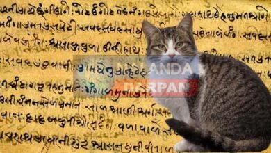 Meaning of Kaithi script training