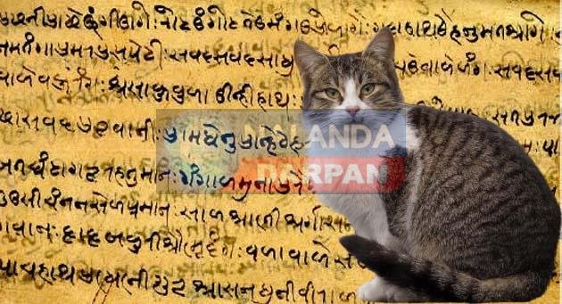 बिहार विशेष भूमि सर्वेक्षण के दौरान अमीनों को कैथी लिपि प्रशिक्षण के मायने? Meaning of Kaithi script training