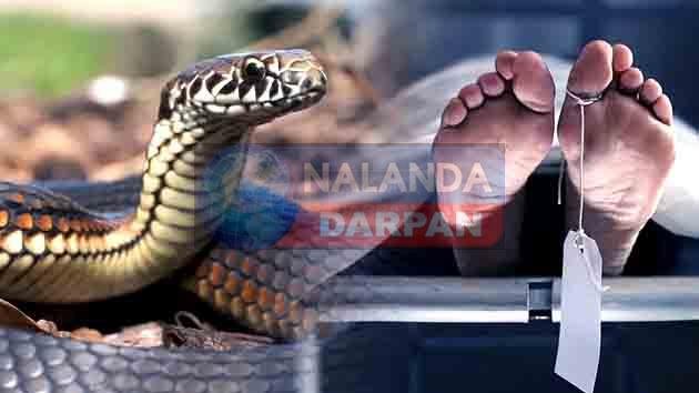 Woman dies due to snake bite, FIR filed for murder by poisoning, police engaged in investigation