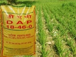 Corruption Farmers are troubled by black marketing of fertilizers, administration is happy