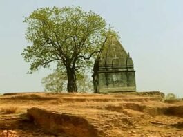 Indian Archaeological Survey will soon unveil the secrets of Rajgir Rukmini Sthan