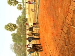 Construction work of playground started in 4 panchayats of the block under MNREGA scheme