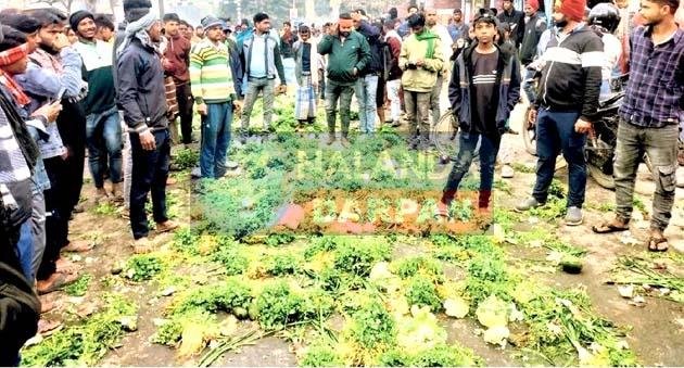CM नीतीश के गृह जिले में किसानों का गुस्सा फूटा, सड़क पर सब्जियां फेंक जताया विरोध