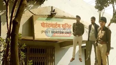 Cattle thief who came to pick up buffalo died after falling from pickup