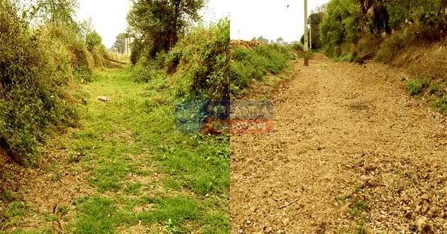 नालंदा के किसानों के लिए बड़ी खुशखबरी, 16 सिंचाई परियोजनाएं मंजूर 1 Good news for the farmers of Nalanda, 16 irrigation projects approved