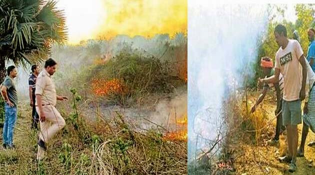 राजगीर वन क्षेत्र में 4 विशेष टीम गठित, बनाई 40 किमी लंबी फायरलाइन 7 4 special teams formed in Rajgir forest area, 40 km long fire line created