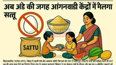 Now Sattu will be available instead of egg in all Anganwadi centers throughout summer