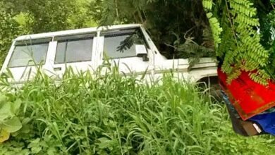 A government vehicle crushed an elderly milkman riding a bicycle, causing his death and blocking the road