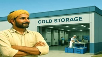 यहां बनेगा 40 टन क्षमता वाला मॉडर्न कोल्ड स्टोरेज, 3 माह तक ताजा रहेगी मछली 1 A modern cold storage with a capacity of 40 tonnes will be built here, fish will remain fresh for 3 months