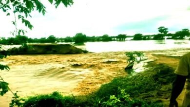 Devastation in these 3 blocks of Nalanda, crops submerged, villagers worried