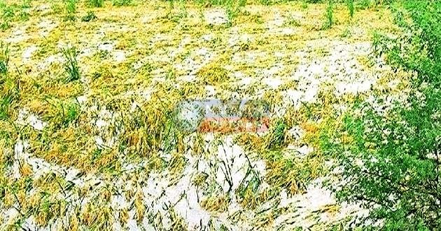 यूं बर्बादी का मंजर छोड़ गया लोकायन, संवेदनहीन बना प्रशासन