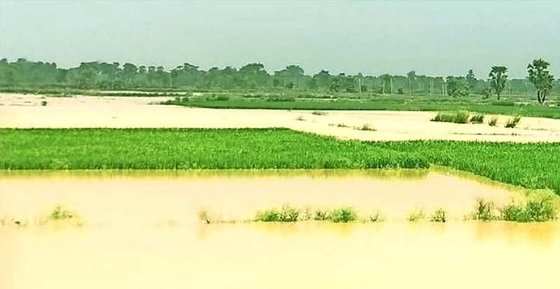 यूं बर्बादी का मंजर छोड़ गया लोकायन, संवेदनहीन बना प्रशासन 2 Lokayan left a scene of ruin like this, administration became insensitive